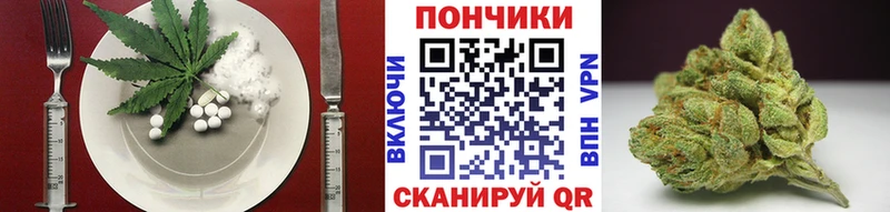 Купить закладки  Дальнегорск  Еда ТГК конопля 