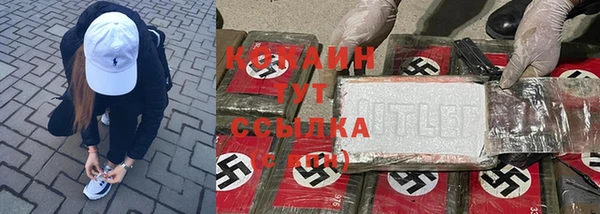 кокс Каменка
